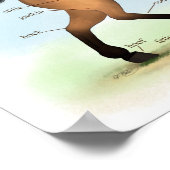 Buckskin Horse Educational Equine Anatomy Poster (Hoek)