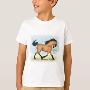 Buckskin Horse Educational Equine Anatomy T-shirt