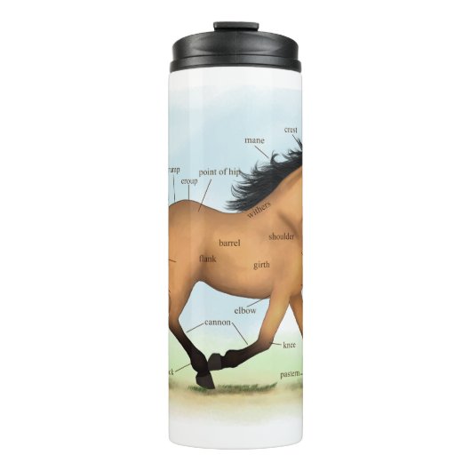 Buckskin Horse Educational Equine Anatomy Thermosbeker (Voorkant)