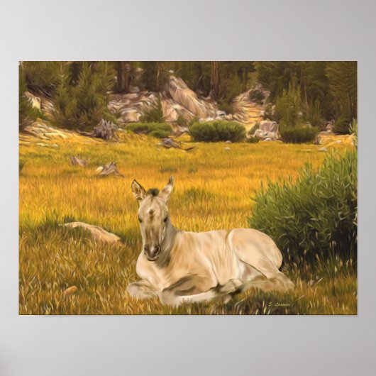 Buckskin Horse Foal Portrait Poster (Voorkant)