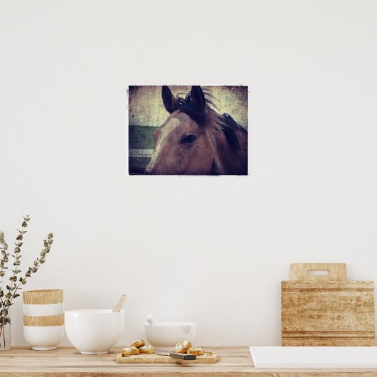 Buckskin Horse Poster (Keuken)