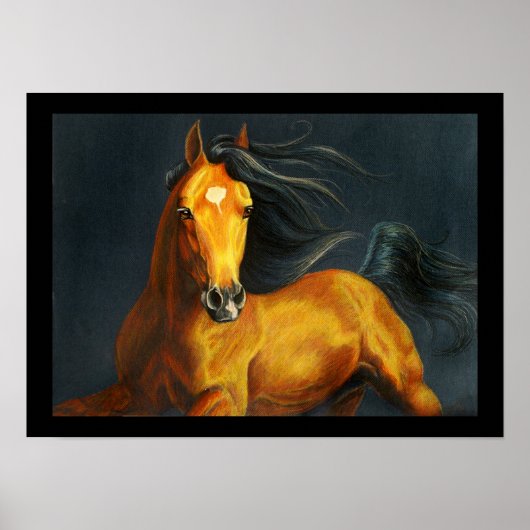 Buckskin Horse Poster (Voorkant)