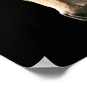 Buckskin horse sunset poster (Hoek)