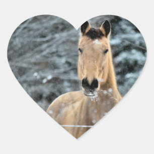 Buckskin Horse Winter Hart Sticker