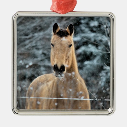 Buckskin Horse Winter Metalen Ornament (Voorkant)