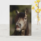 Buckskin Lusitano Stallion Flehmen Headshot Kaart (Gele Bloem)