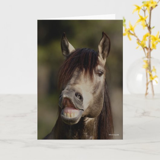 Buckskin Lusitano Stallion Flehmen Headshot Kaart (Gele Bloem)