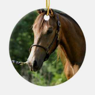 Buckskin Morgan Horse Keramisch Ornament