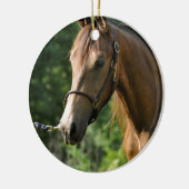 Buckskin Morgan Horse Keramisch Ornament (Links)