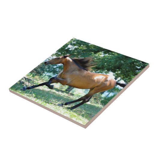 Buckskin Morgan Horse Tegeltje (Zijkant)