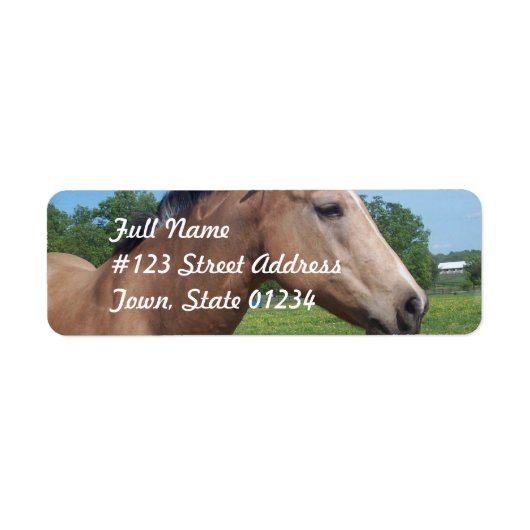 Buckskin Mustang Mailing Label (Voorkant)