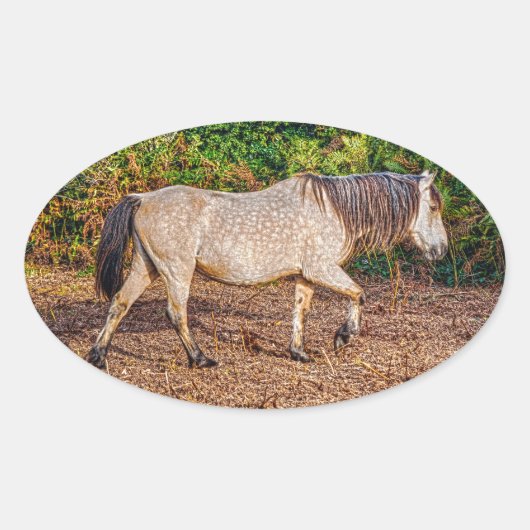 Buckskin New Forest Pony Wildlife Ovale Sticker (Voorkant)