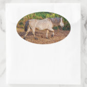 Buckskin New Forest Pony Wildlife Ovale Sticker (Tas)