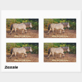 Buckskin New Forest Pony Wildlife Rechthoekige Sticker (Vel)