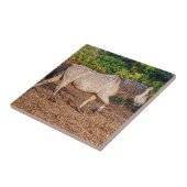 Buckskin New Forest Pony Wildlife Tegeltje (Zijkant)