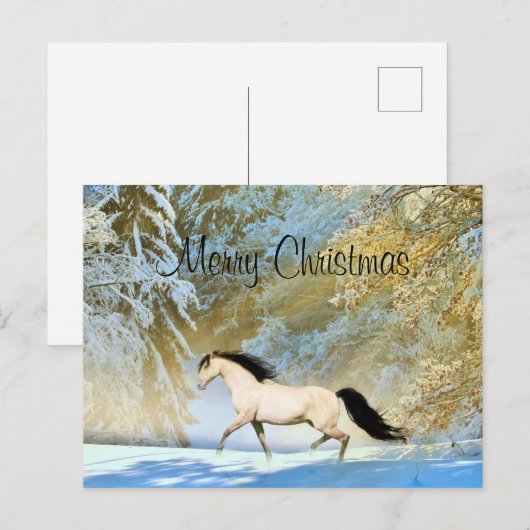 Buckskin paard Kerstmis Feestdagenkaart (Voorkant / Achterkant)