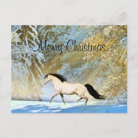 Buckskin paard Kerstmis Feestdagenkaart (Voorkant)