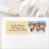 Buckskin Paint Horses in sneeuw Etiket (Insitu)