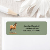 Buckskin Pinto Dun Paint Horse Staillion Etiket (Insitu)