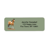 Buckskin Pinto Dun Paint Horse Staillion Etiket (Voorkant)