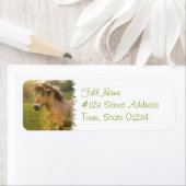 Buckskin Pony Retouradreslabel Etiket (Insitu)