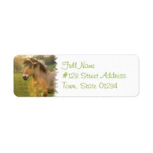 Buckskin Pony Return-adreslabel Etiket