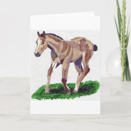 Buckskin Quarter Horse Foal Blank Wenskaart Kaart