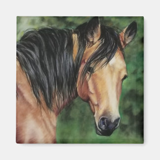 Buckskin Quarter Horse mare Magneet