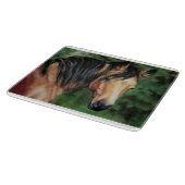 Buckskin Quarter Horse mare Snijplank (Hoek)