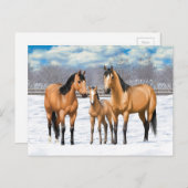Buckskin Quarter Horses op sneeuw Briefkaart (Voorkant / Achterkant)