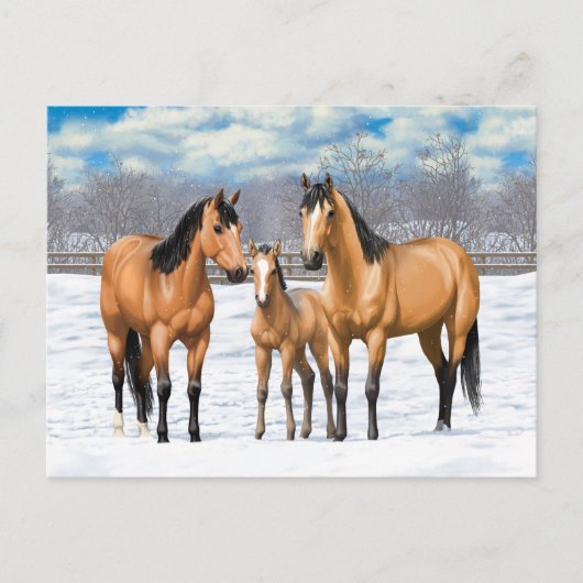 Buckskin Quarter Horses op sneeuw Briefkaart (Voorkant)