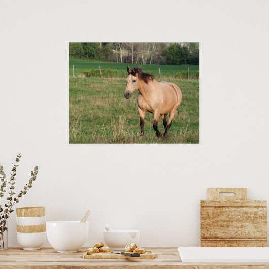 Buckskin Stroll Poster (Keuken)