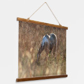 Buckskin Tobiano Grazing in Morning Sun Photo Hangend Wandkleed (Gebogen)