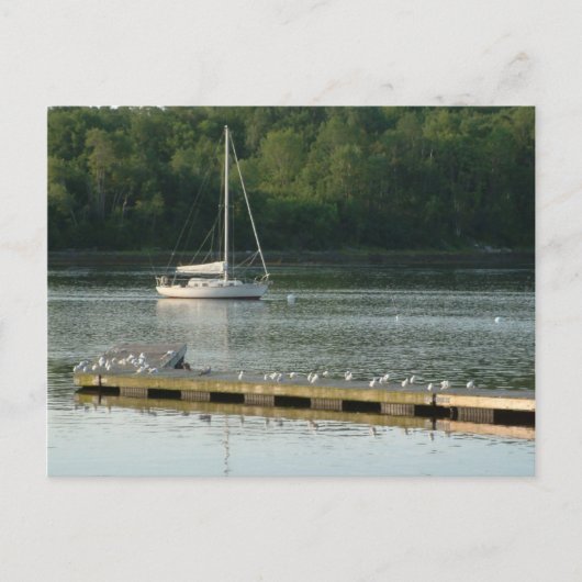 Bucksport Maine Briefkaart (Voorkant)