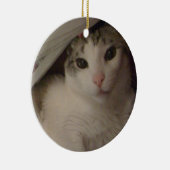 Bucky de kattenversiering keramisch ornament (Rechts)