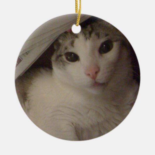Bucky de kattenversiering keramisch ornament (Voorkant)