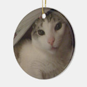 Bucky de kattenversiering keramisch ornament (Links)