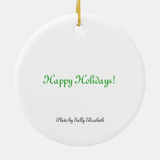 Bucky de kattenversiering keramisch ornament (Achterkant)