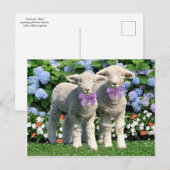 "Bucky & Mick"-postkaart Briefkaart (Voorkant / Achterkant)