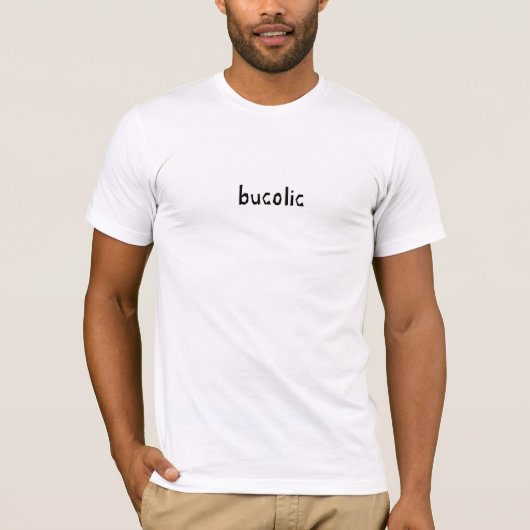 Bucolic Mannen Basic Bella Canvas T-Shirt (Voorkant)