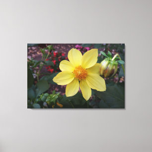 Bud en bloem canvas afdruk