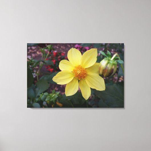 Bud en bloem canvas afdruk (Voorkant)