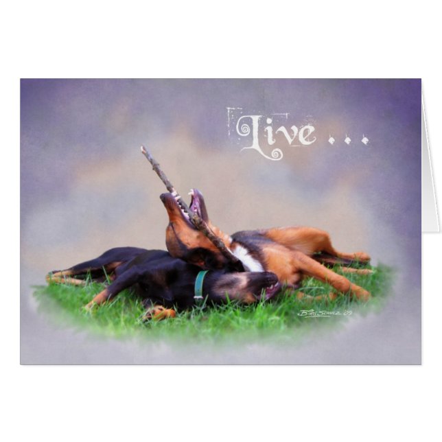 Bud & Gabby (Voorkant Horizontaal)