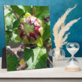 bud in herfst fotoplaat (Zijkant)