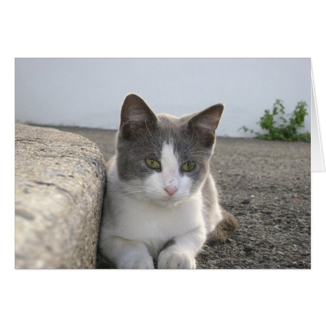 "Bud in kleur" (Voorkant Horizontaal)