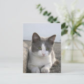 "Bud in kleur" Briefkaart (Staand voorkant)