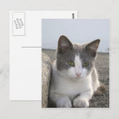 "Bud in kleur" Briefkaart (Voorkant / Achterkant)