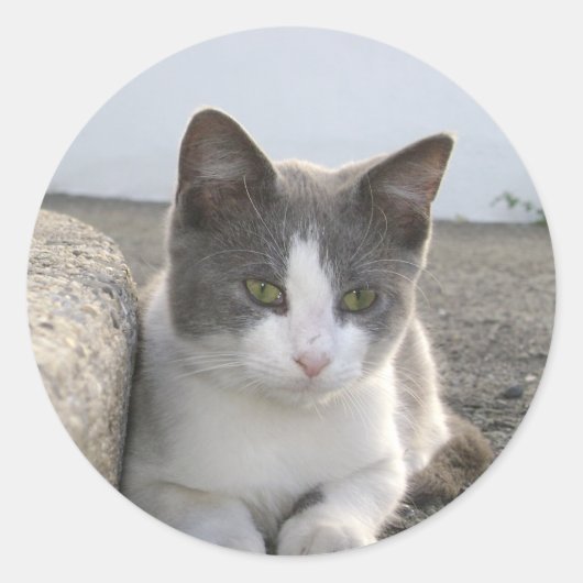 "Bud in kleur" Ronde Sticker (Voorkant)