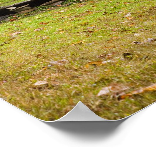 Bud Ogle House, Great Smoky Mountains National Poster (Hoek)