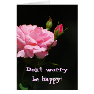 Bud van een roos, Maak je geen zorgen, wees blij!